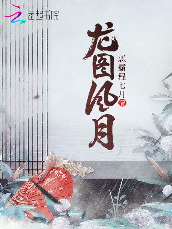 龙图风月