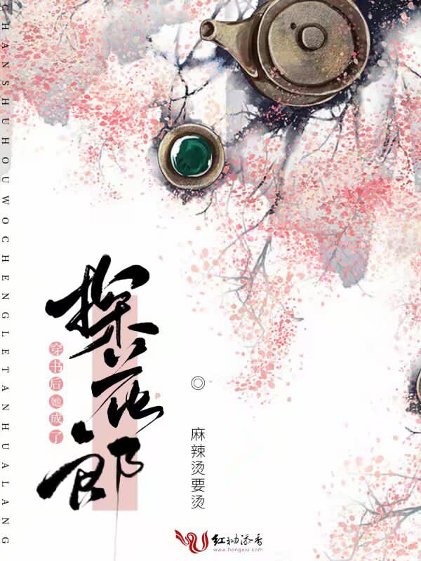 穿书后她成了探花郎