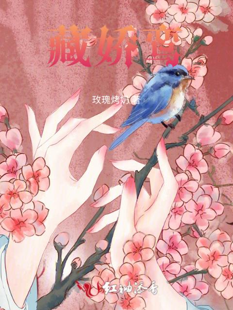 藏娇鸾