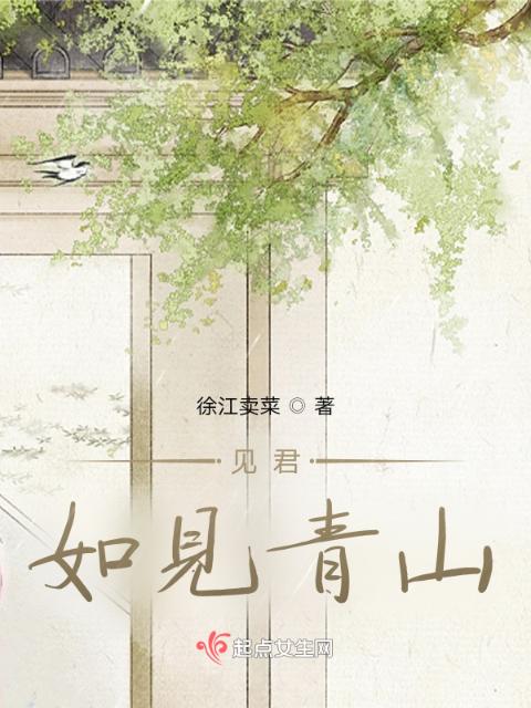 见君如见青山