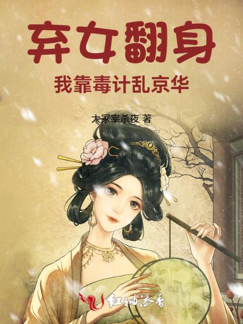 弃女翻身：我靠毒计乱京华