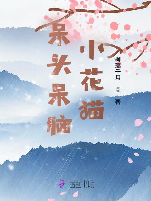 呆头呆脑小花猫
