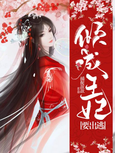 灯火积木免费阅读全文
