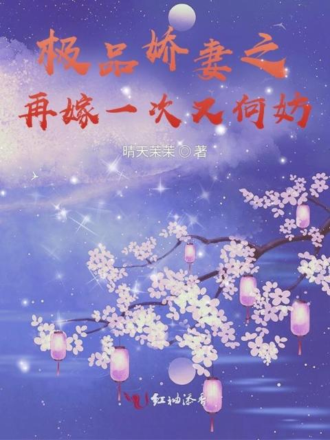 极品娇妻之再嫁一次又何妨