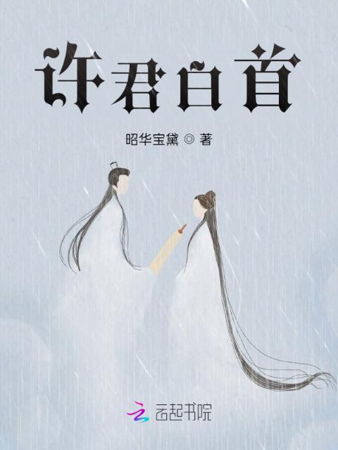 许君白首