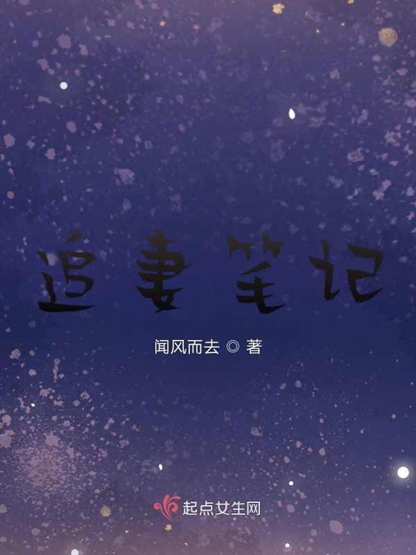 追妻笔记