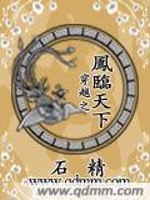 穿越之凤临天下