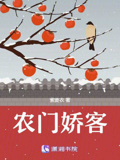 农门娇客