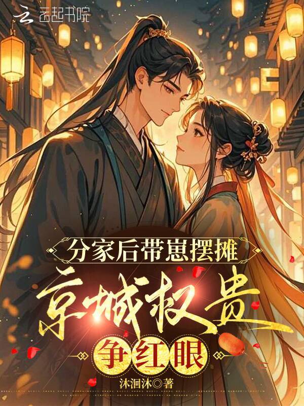 分家后带崽摆摊，京城权贵争红眼