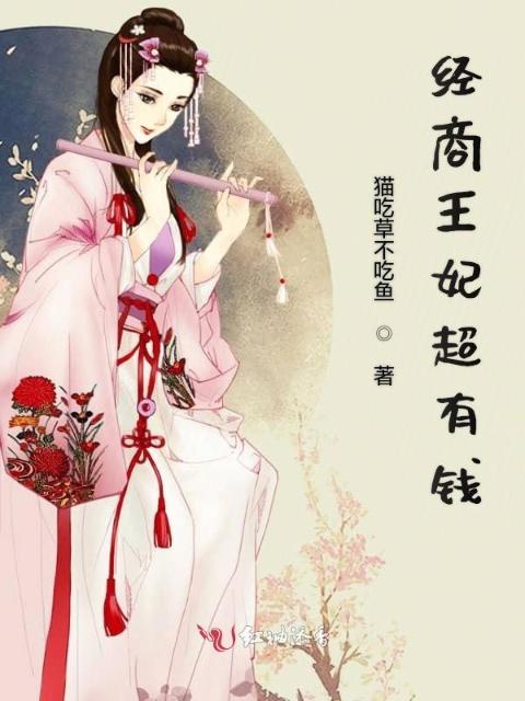 经商王妃超有钱
