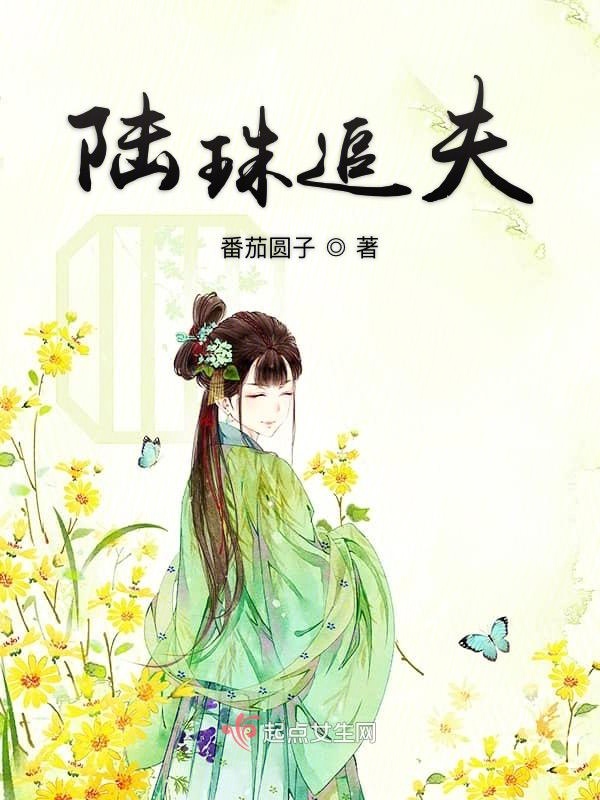 陆珠追夫