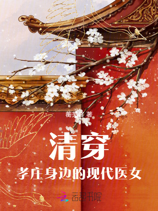 流金岁月小说
