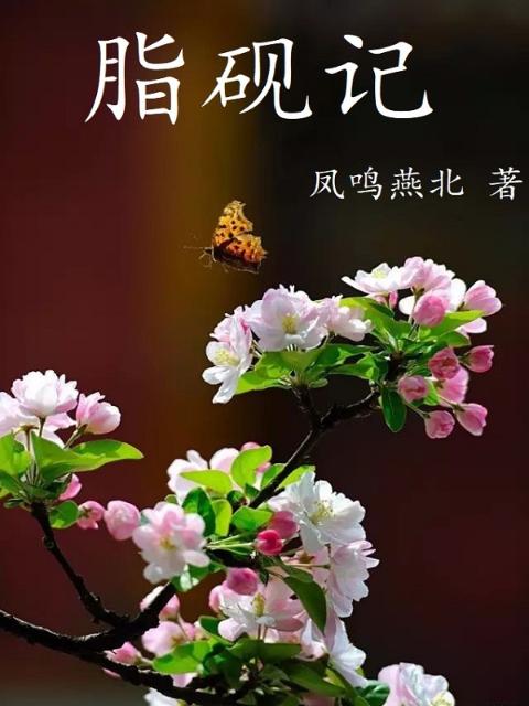 脂砚记1