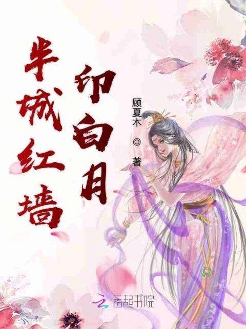 半城红墙印白月