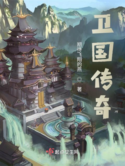 卫国传奇