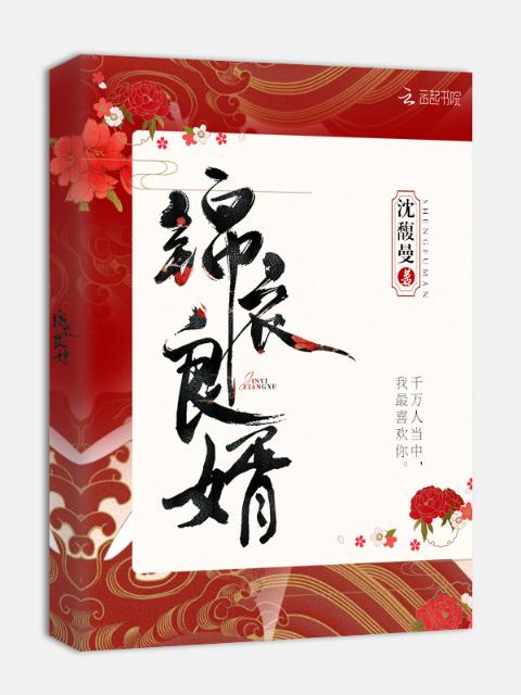 锦衣良婿