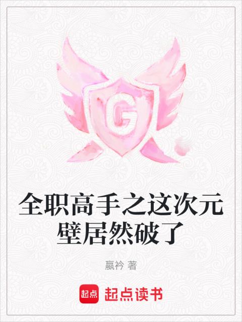 全职高手之这次元壁居然破了
