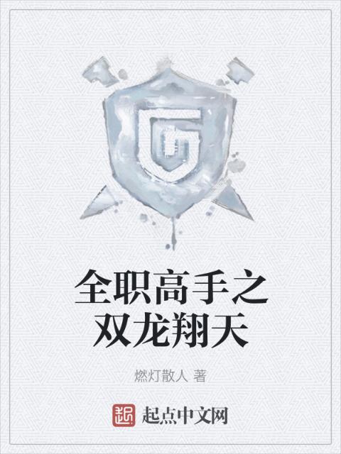 全职高手之双龙翔天