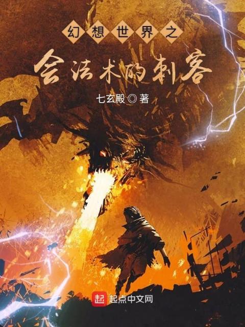 幻想世界之会法术的刺客