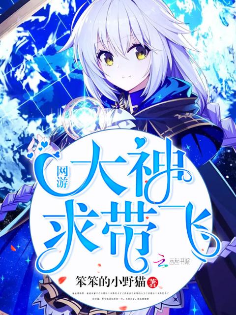 网游大神求带飞