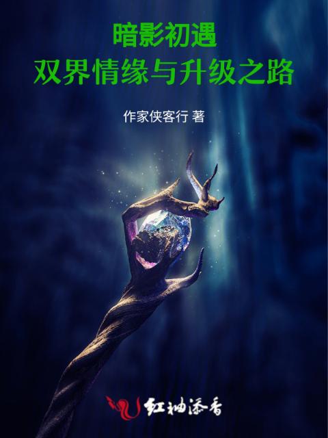 暗影初遇：双界情缘与升级之路