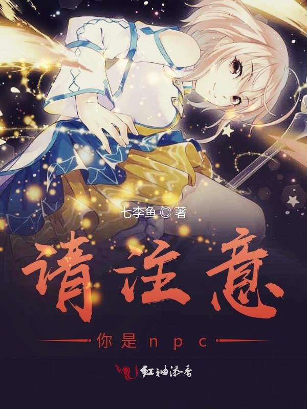 请注意你是npc