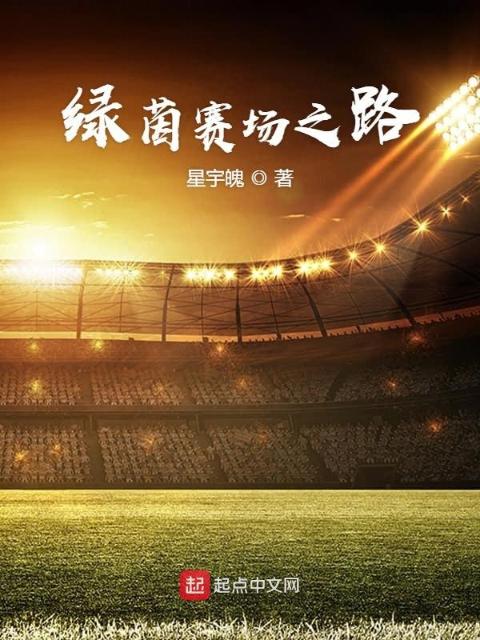 绿茵赛场之路