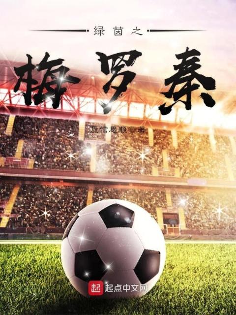 绿茵之梅罗秦