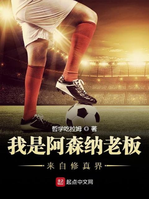 我是阿森纳老板来自修真界