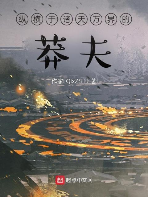 纵横于诸天万界的莽夫