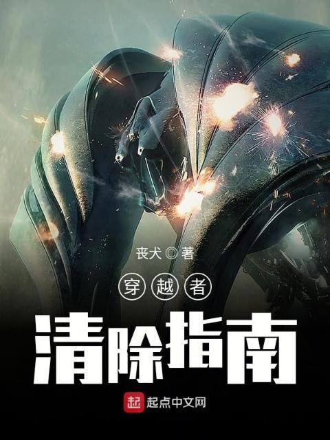 穿越者清除指南