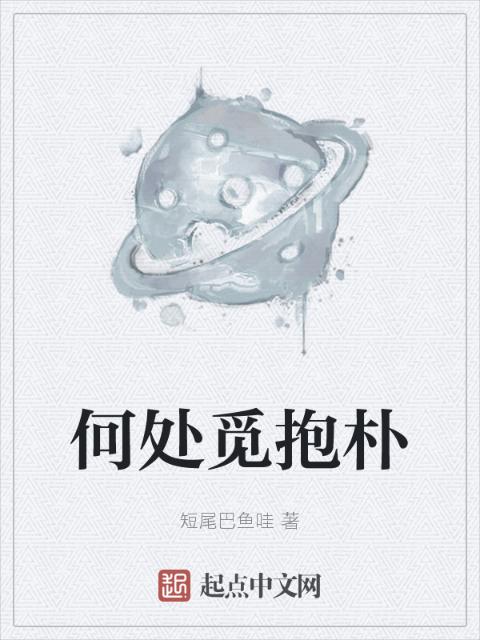 何处觅抱朴