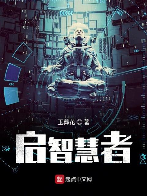 关于智慧的某一次不完整试验