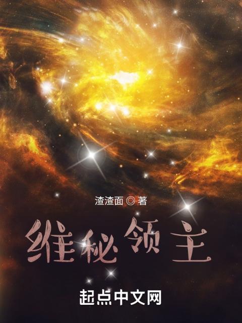 维秘领主