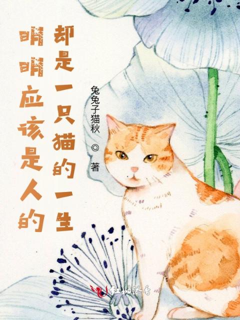 猫咪日记