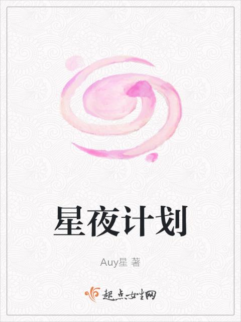 星夜计划