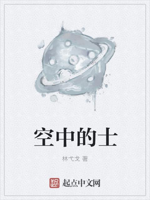 空中的士