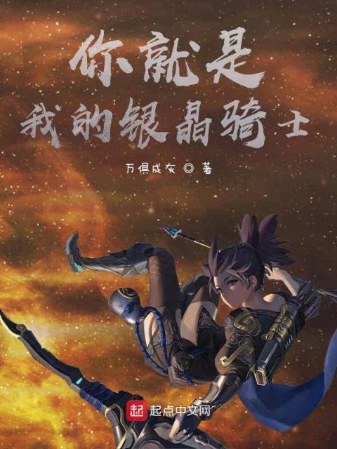 你就是我的银晶骑士