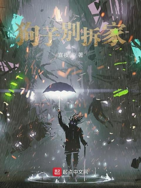 狗子别拆家