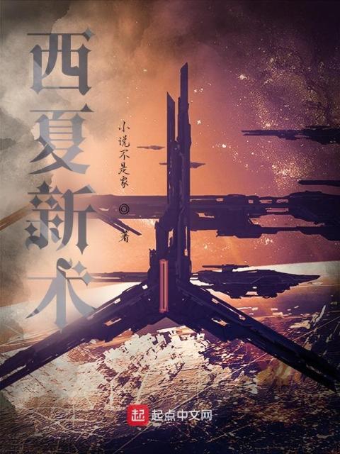 西夏新术