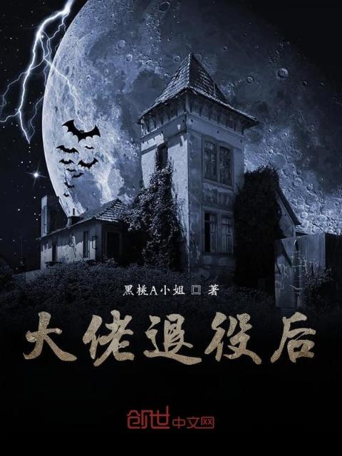 大佬退役后