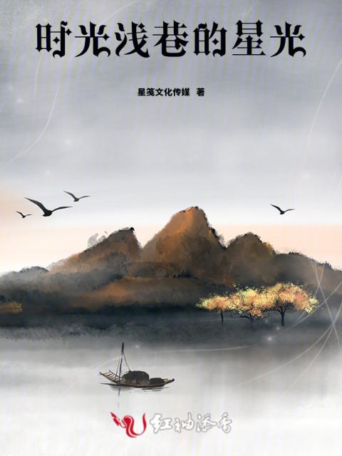 时光浅巷的星光