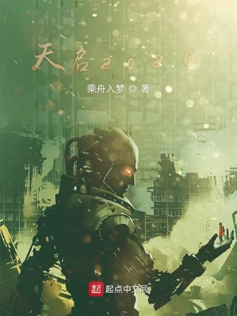 天启2020