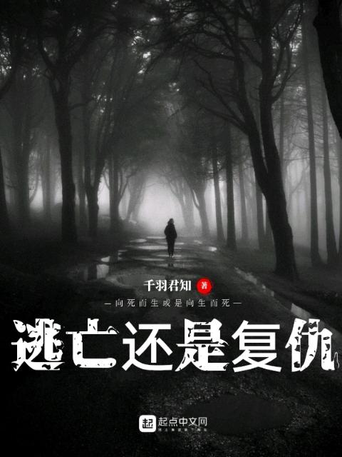 逃亡还是复仇