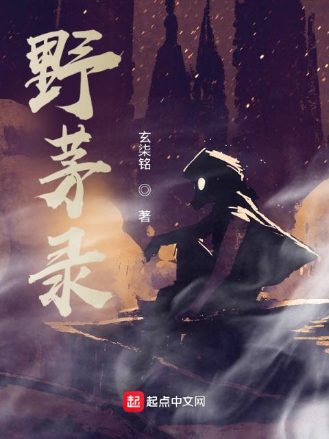 野茅录