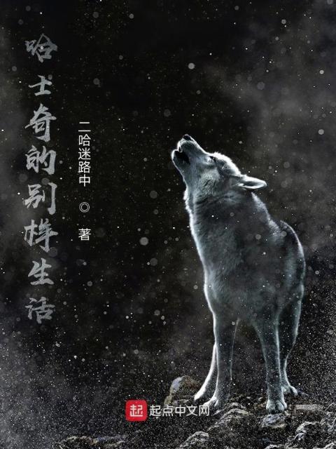 哈士奇的别样生活