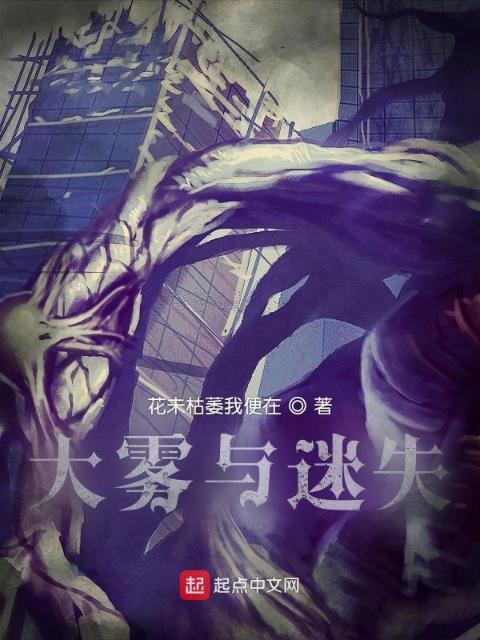 大雾与迷失
