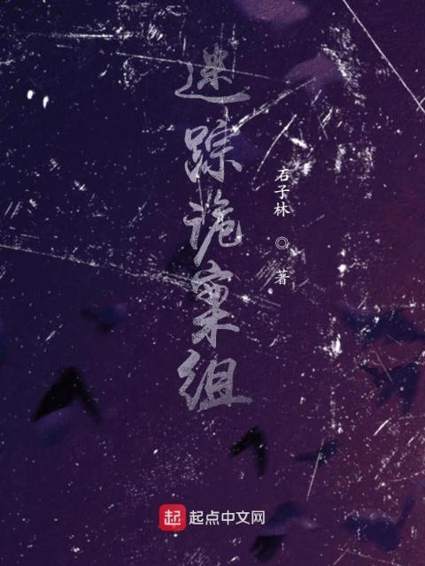 迷踪诡案组