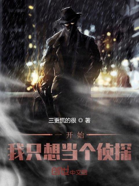 一开始我只想当个侦探