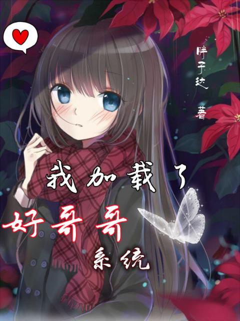 我加载了好哥哥系统